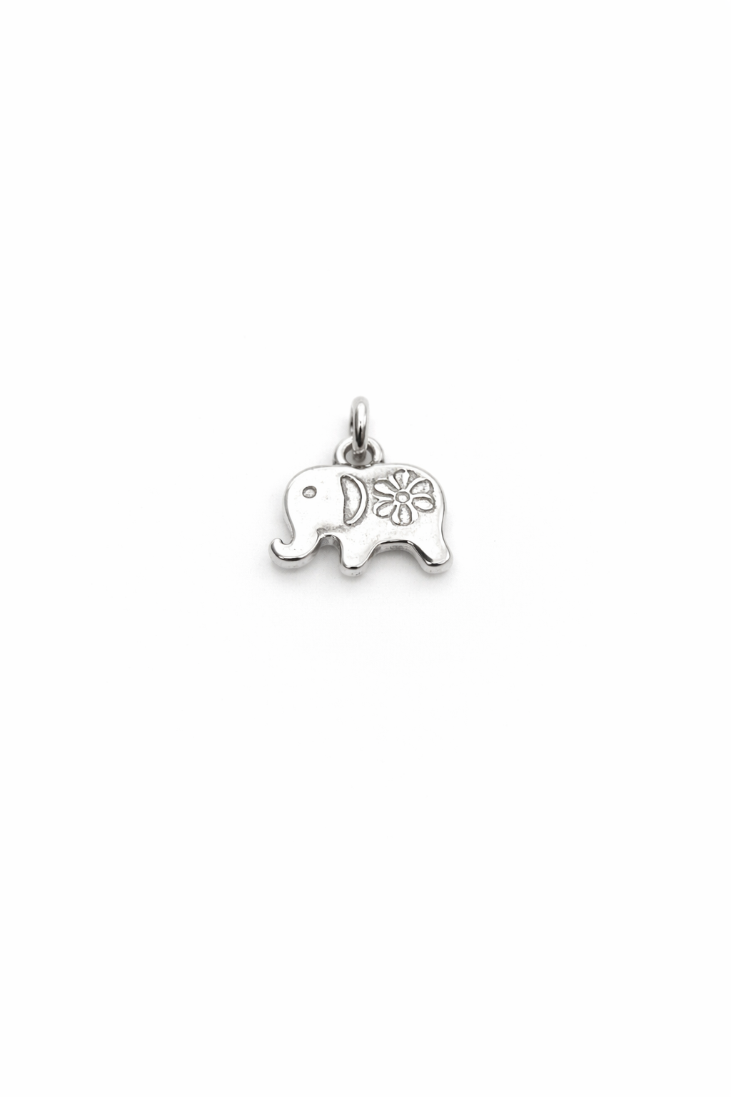 Anhänger Glücks-Riese silber Produktbild